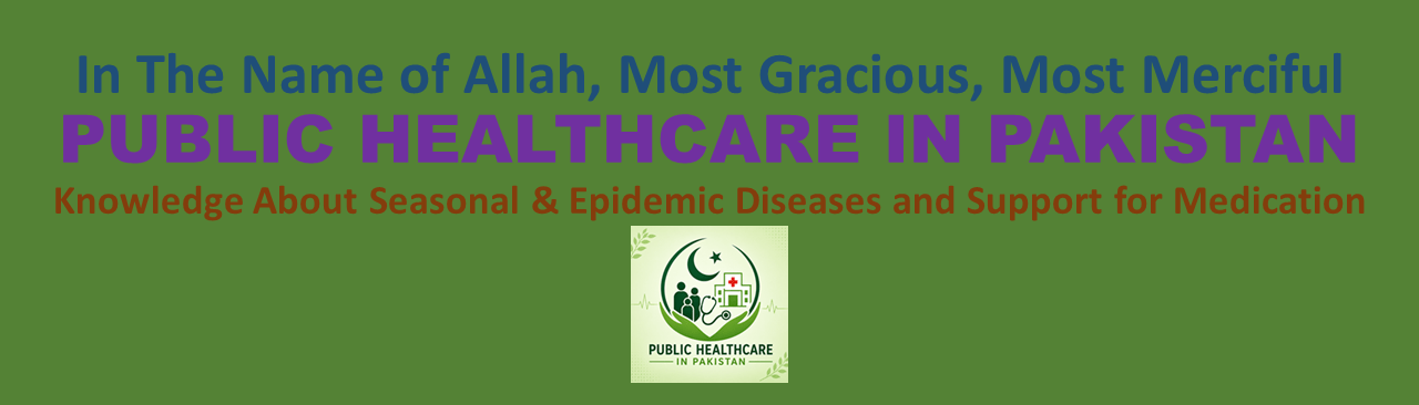 Website on Public Healthcare in Pakistan, A Portal for Information and Support for Medication